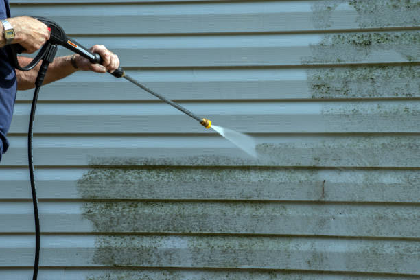 Best Building Exterior Washing  in Elk Rapids, MI